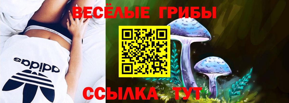 Галлюциногенные грибы мухоморы Воркута